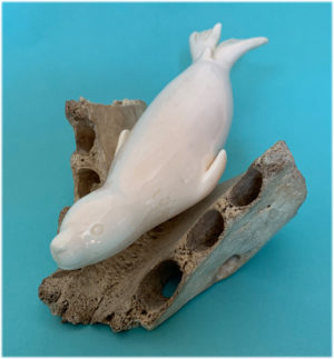 Isaac Kulowiyi Swimming Seal on Jawbone